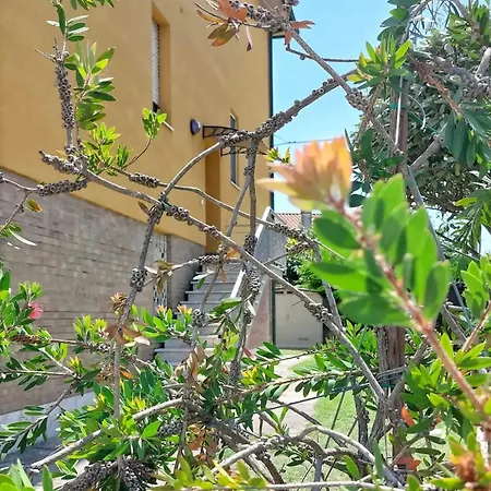 Charming In 50 M² Pine Forest View *